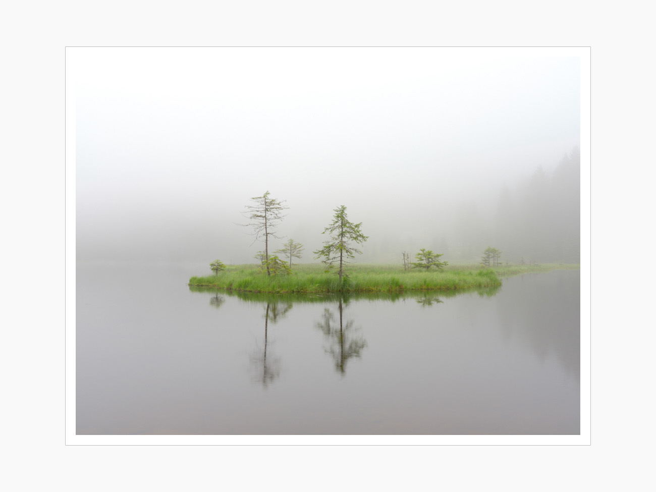 Max Schiefele Alle Bilder  DSF6612